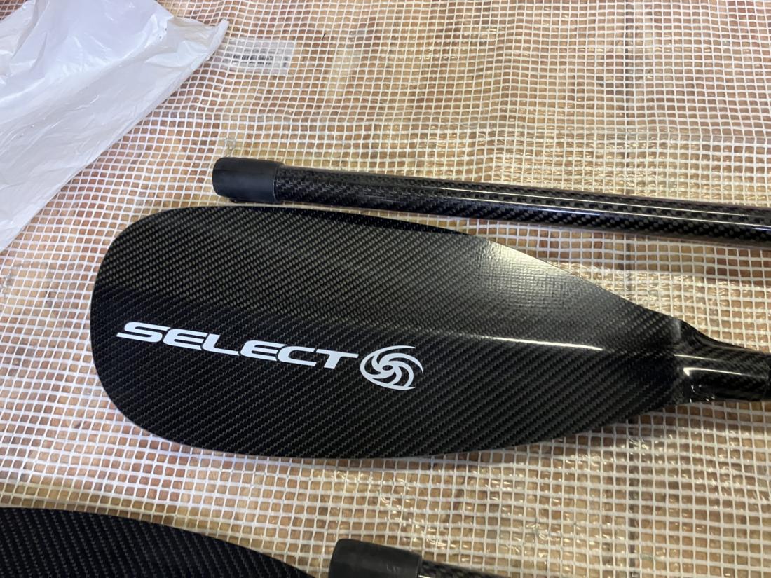 Wild Carbone Ajustabe